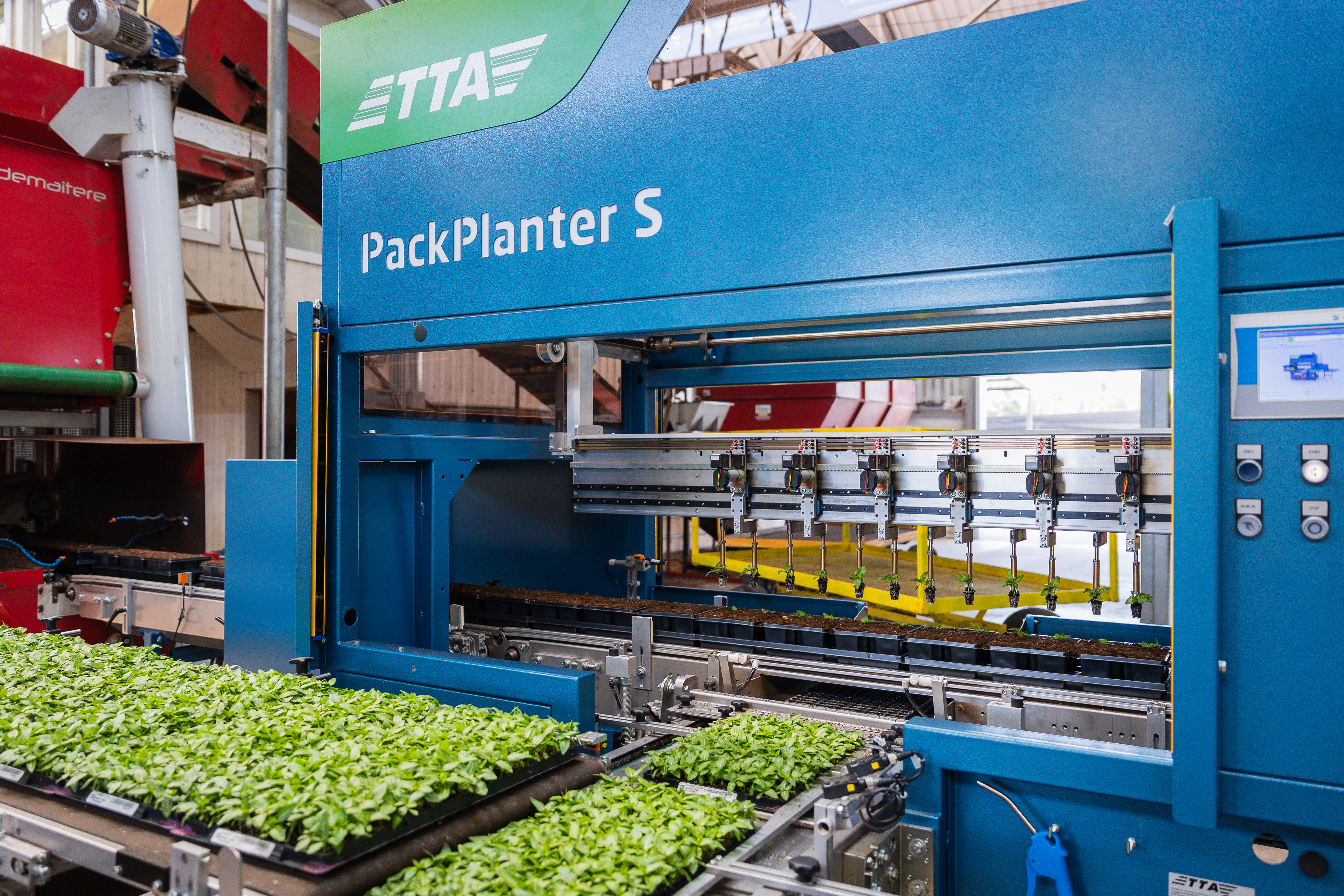 Robotergreifer des Typs TTA-ISO PackPlanter halten Setzlinge beim Umpflanzen in einem Gewächshaus fest.